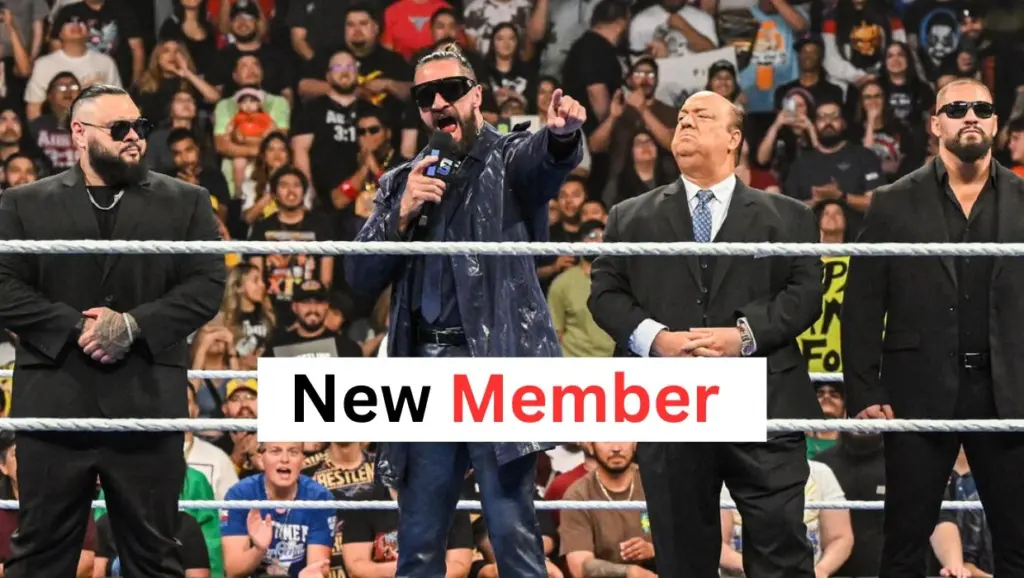 Seth Rollins' faction